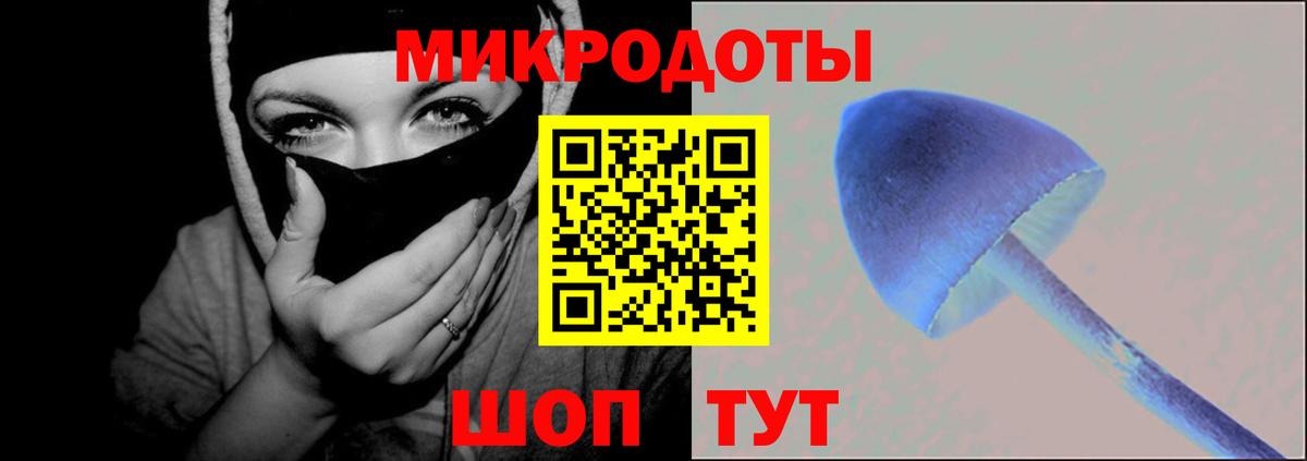 Псилоцибиновые грибы Cubensis  Вход с VPN  Благодарный 